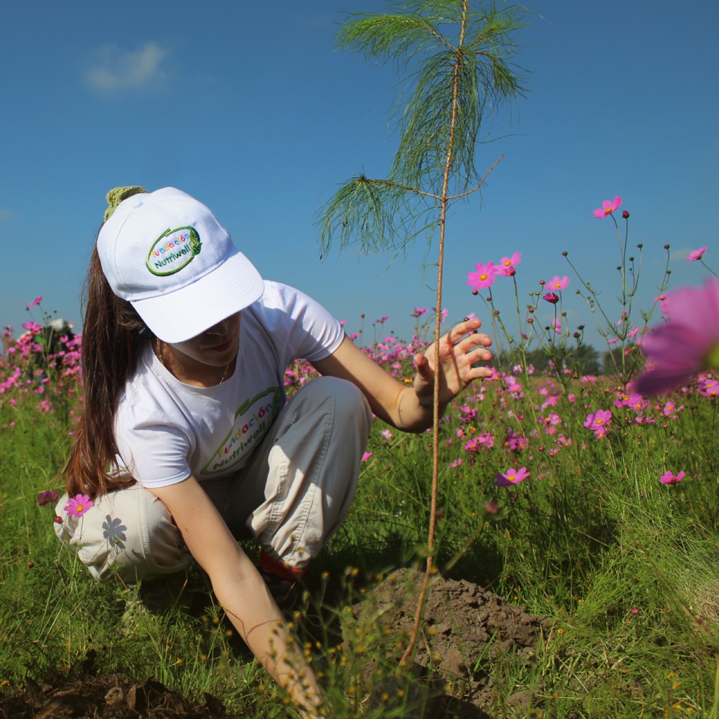 Voluntaria plantando un pino en la jornada anual de reforestación